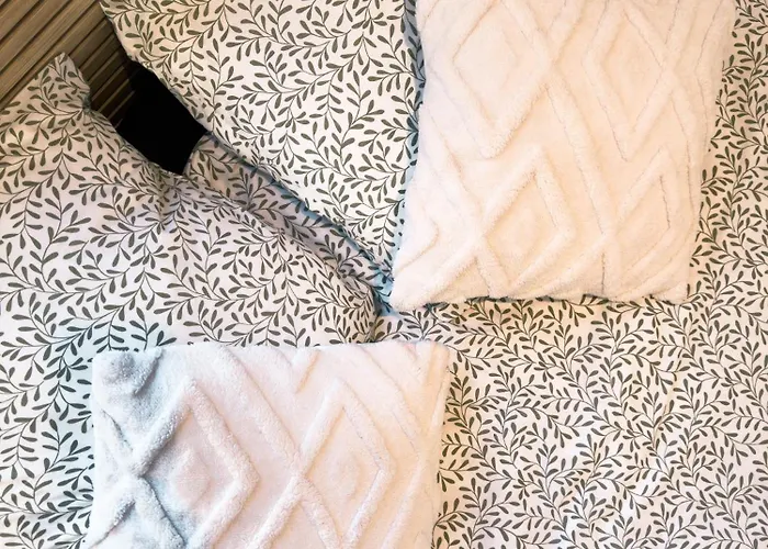 Centre Cosy 2 * Brest